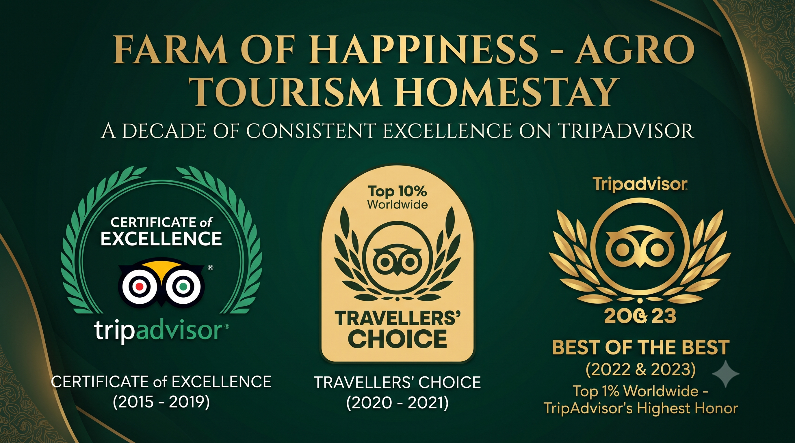 A Decade of Consistent Excellence on TripAdvisor